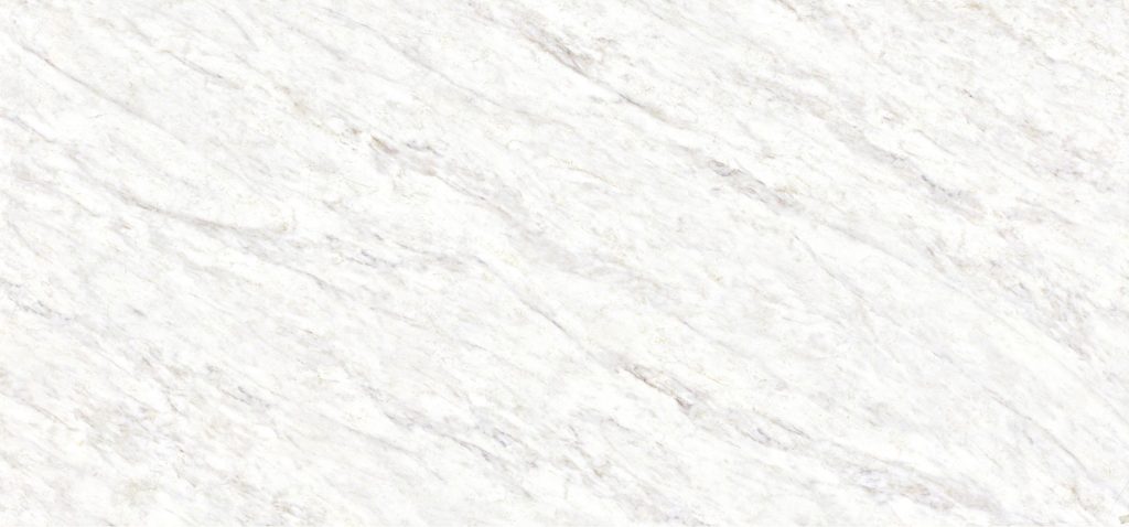 Wasp slab EXO collection PHI